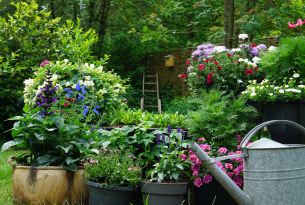 Tips to improve your garden: 6 ideas to give it a different touch